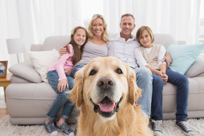 Family hugging on the sofa with dog