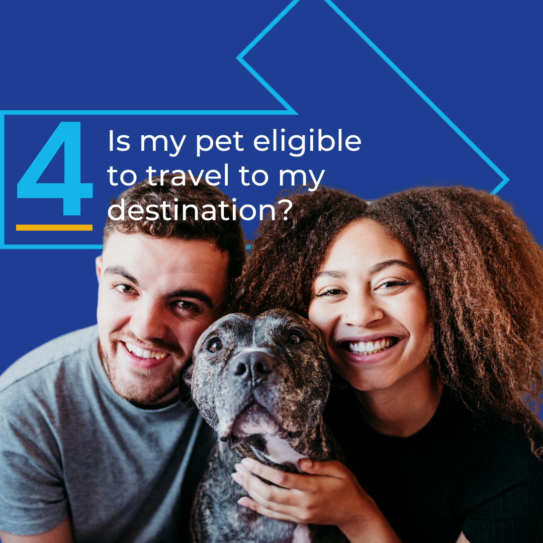 Is my pet eligible to travel to my destination