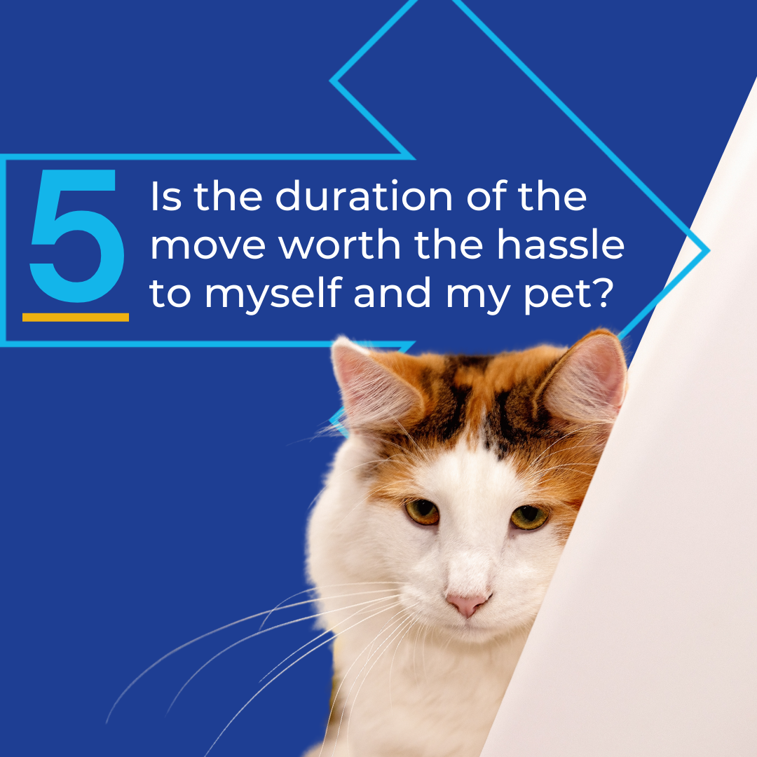 Is the duration of the move worth the hassle to myself and my pet?